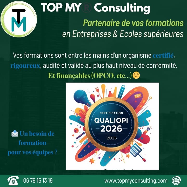 TOP MY Consulting